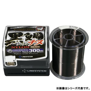 CVXe BL/`k uE 300m 2 (iCC ނ莅)