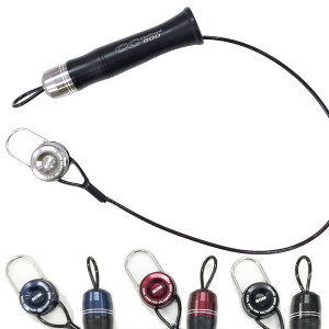 X^WII[V}[N J[R[h 2023Nf CC800H (K胍[v) 䂤pPbg