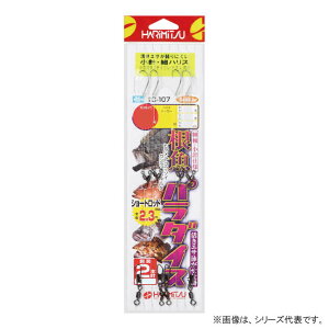 n~c p_CX C-107 (ˎd| ނ) 䂤pPbg