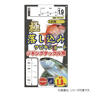 nuT ɗTrLV[gWMOp 8-6 IWi T04170C1 (ˎd| ނ) 䂤pPbg