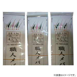 AVXgH[ Elod|C MC (Cd|) 䂤pPbg