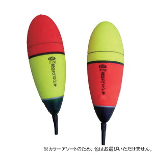 EY EVA TrL 12 3072F (EL ΂EL)