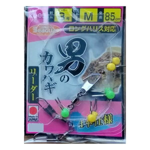 AVXgH[ j̃JnM[_[ OnXΉ 4{ KL-05 (ˎd| ނ) 䂤pPbg