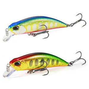 fI XsAwbhEL 50S 2023N/2024NJ[ (gEgA[ k) 䂤pPbg