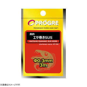 vO ^ GTSUS MT-EW10 (ނ蓹)