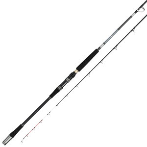 At@^bN 22 Cl JZAIm 240MH ( bh D C ނ)(^iA)