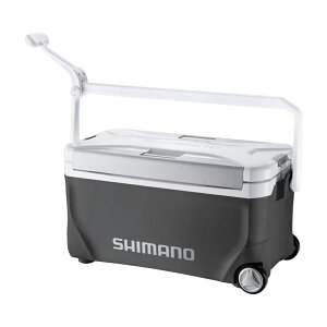 V}m Xy[U ~ebh 25L LX^[t _[NO[ NS-C25Y (N[[{bNX ނ ^)