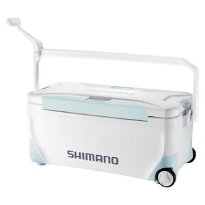 V}m Xy[U Cg 35L LX^[t WCVAu[ NS-E35Y (N[[{bNX ނ ^)