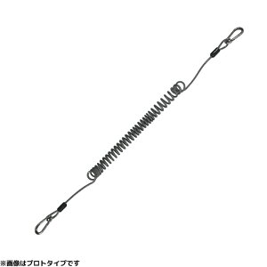 _C K胍[v RC2500 (K胍[v) 䂤pPbg