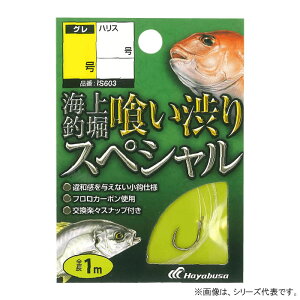 nuT Cޖx t aXyV IS603 (ޖxtj ސj) 䂤pPbg