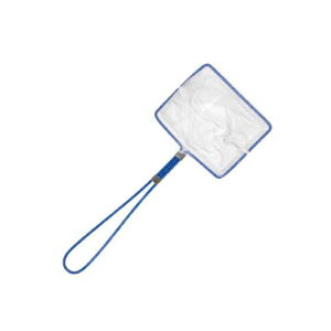 }V GrXNC M (^) 䂤pPbg