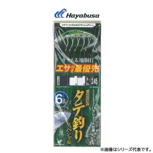 y11/20` Gg[3_P10{z@nuT ^eނSPLclnŃztbVO[ 10-8 SS438 (ˎd| ނ ^eނ)