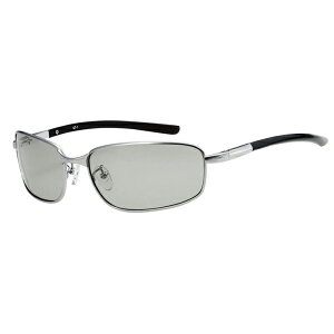  oCtH[J BFM-1S (xtΌTOX ΌOX ނ Y)