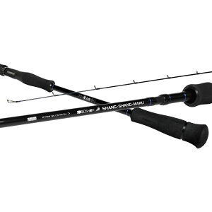 CbZC CYlRVtg VV} C702L (CgWMObh  ނ)(^iA)