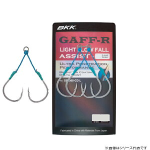 BKK SFMt-R L (AVXgtbN _u) 䂤pPbg