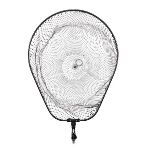 _C fBOlbgFL2 55N K^ ( ʖ ^ fBOlbg)