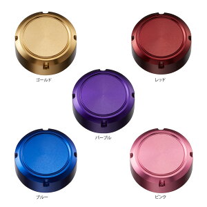 X|[cCtvlbc SLP STEEZ ICCWFNVLbv ([ JX^p[c)