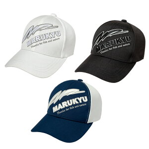 }L[ }L[Lbv16 t[i56`60cmj (tBbVOLbv Xq ނ)