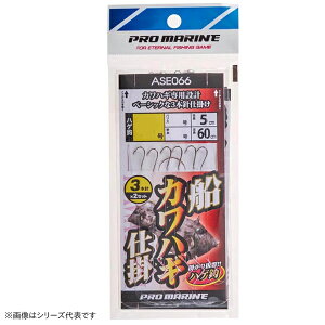 lc hJnM d| (3P) ASA067 (hނ d|) 䂤pPbg