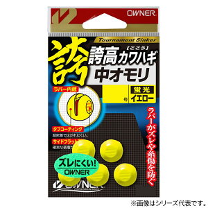 y11/20` Gg[3_P10{z@I[i[ ֍JnMI uCG[ 3 81195 (rV) 䂤pPbg