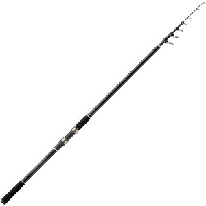 ޕ oCgWbNII 12TMH F00301 ( bh  C ނ)