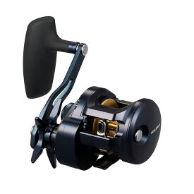 【エントリーで最大6000P＆7/10はP10倍！】 ダイワ 25 ソルティガ 300H (Daiwa ジギングリール 釣り 右)