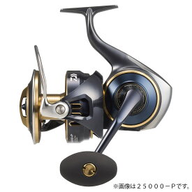 ダイワ 25 ソルティガ 25000-P (Daiwa オフショア ジギング リール)