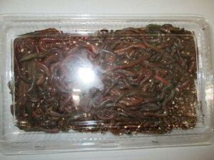 ނa̒ԁ@C\ pbN(300g)