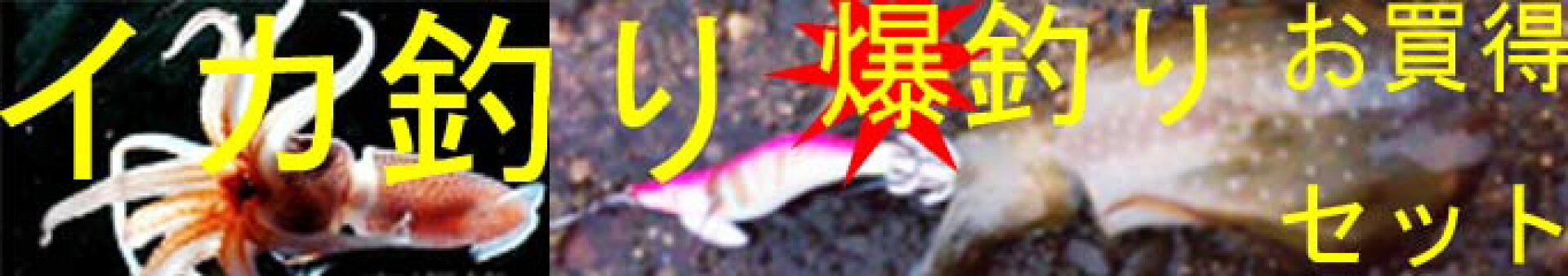 アオリイカ、コウイカなど、イカ釣り仕掛けで大活躍。漁師さんに愛用されています。エギ　エギング　セット　お買得　あす楽対応