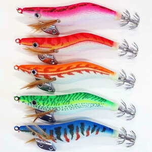 [֑  g GM 2.5 5{ Zbg CJނ GMO a؁yR20egi25h5xgCz