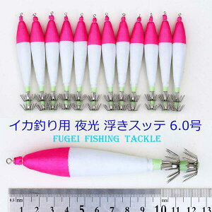 ދ d| CJނ Xbe  6.0 (12.5cm) sN 1F 12{Zbg R20sute6hs1301c3
