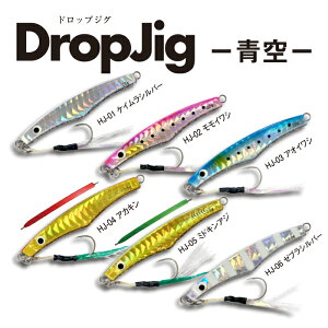 y啝lI̔zHAYASHI nV hbvWO DropJig-- 11g 14g 18g 22g hނ ݒނ ^WO WO VAWMO ނpi ދ ނ A[ CgVAWMO  