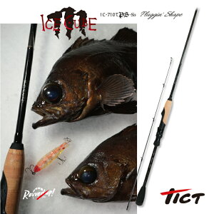 TICT eBNg ICE CUBE IC-710TPS ACXL[uobh  AWނ  AWObh ނ蓹 ނv[g ނ ދ ނ ފ Cނ 肴  o AW `k V[
