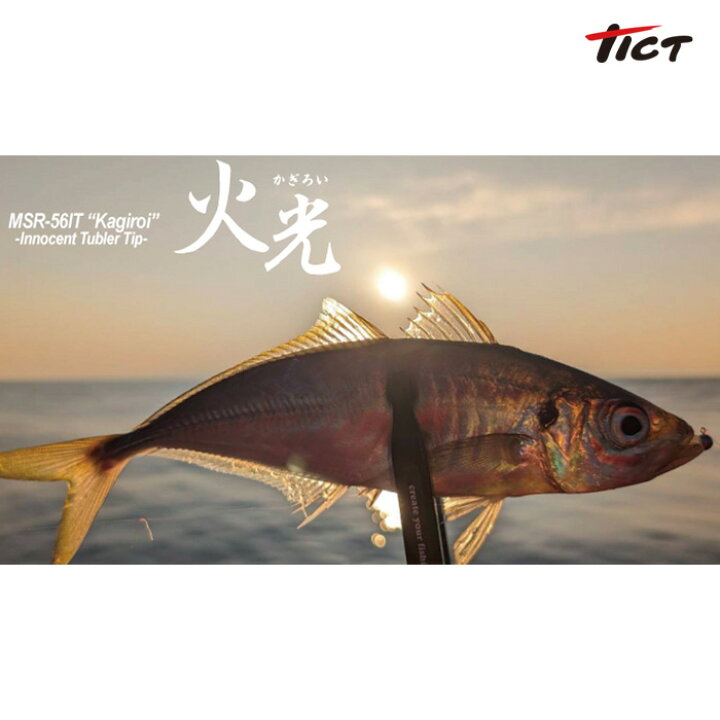 楽天市場】TICT tict ティクト 【SRAM MSR 56IT Kagiroi】 スラム す 