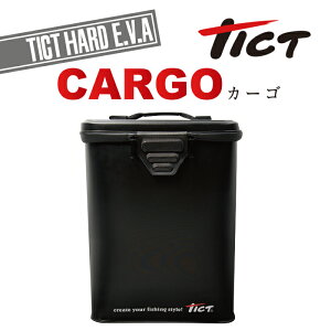 TICT tict eBNg EVAJ[S g[@ނpC CV[Y ނpC ނu[c ނp C CEFA V[Y u[cobO e [ P[X  J Gꂽ obO |P