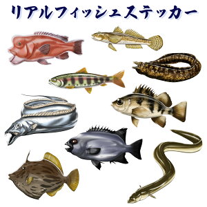 y11/5ISiP5{11/10܂ 2P5{3P10{(vGg[)zXebJ[ AtBbVV[Y  V[ ނObY Ihދ ނ ނ ދ