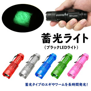 ~Cg  O[ ނ Cg ދ Ihދ ނ ނ