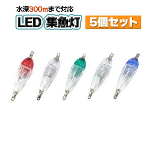 W LED [300mΉ drt 5J[ 5Zbg h ނ CJނ LED d| Ihދ ނ ދ ނ