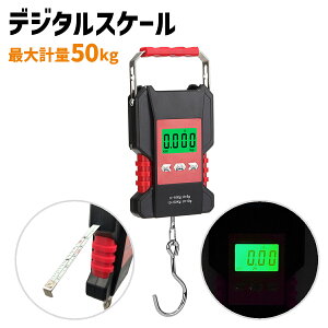 fW^XP[ W[t LED t obNCg dq݂ʂ v  ו nJhG