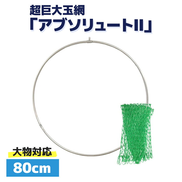 楽天市場】玉網 タモ タモ網 ランディングネット タモ枠 ステンレス 