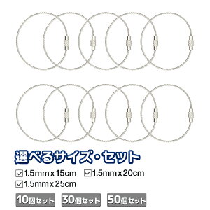 yN[|zzI12/11܂ 2P5{3P10{(vGg[)zC[ L[O XeXC[L[O 10Zbg 30Zbg 50Zbg L[z_[ lW h~ 