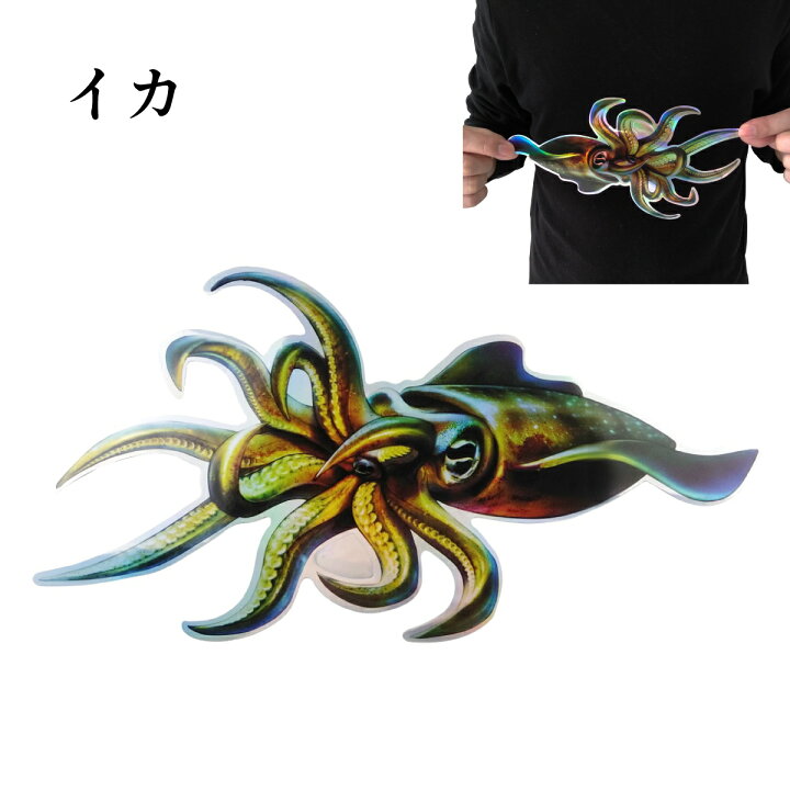 楽天市場 オルルド釣具 リアルフィッシュステッカー フィッシング 魚 釣り シール 釣り王国 楽天市場店 楽天市場 オルルド釣具 リアルフィッシュステッカー フィッシング 魚 釣り シール 釣り王国 楽天市場店