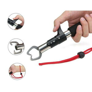 yyVX[p[SALE 30%OFFztBbVLb`[ tBbVObv ͂ ދ Ihދ ނ ނ