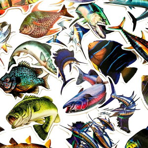 y11/5ISiP5{11/10܂ 2P5{3P10{(vGg[)ztBbVXebJ[ 50Zbg ނXebJ[ A V[ Ihދ ނ ދ