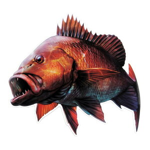 y11/5ISiP5{11/10܂ 2P5{3P10{(vGg[)zXebJ[ AtBbVXebJ[  ނ V[ 16 tBbVO Ihދ ނ ނ ދ