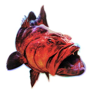 y11/10܂ 2P5{3P10{(vGg[)zXebJ[ AtBbVXebJ[  ނ V[ 16 tBbVO Ihދ ނ ނ ދ