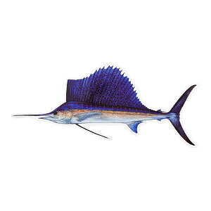 XebJ[ AtBbVXebJ[  ނ V[ 16 tBbVO Ihދ ނ ނ ދ