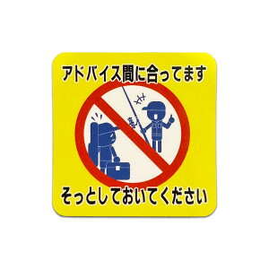 y11/5ISiP5{11/10܂ 2P5{3P10{(vGg[)zXebJ[uAhoCXԂɍĂ܂vނV[ Ihދ ނ ނ ދ