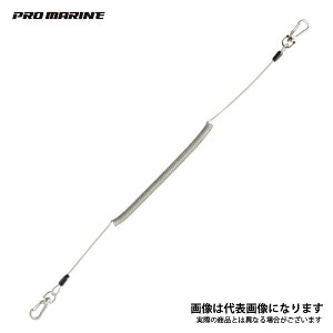 XpC[v 2×170 ANP717-M lc@킩 bh⃊[̗h~