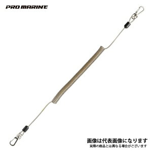 XpC[v 3×200 ANP717-L lc@킩 bh⃊[̗h~